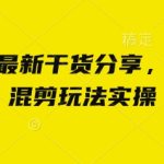 小说推文最新干货分享，现言剧情混剪玩法实操