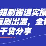 海外短剧搬运实操课，短剧出海，全程干货分享