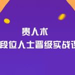 贵人术：高段位人士晋级实战课