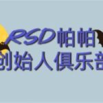 RSD帕帕《创始人俱乐部》社交商务视频教程