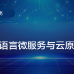 Go语言微服务与云原生