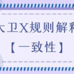 大卫X规则解释【一致性】
