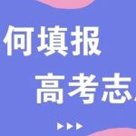 2025年高考志愿填报指南汇总