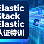 Elastic Stack Elastic认证特训