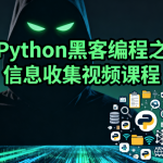 Python黑客编程之信息收集视频课程