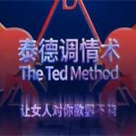 泰德调情术完整版（让女人对你欲罢不能）