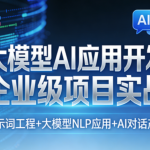 大模型AI应用开发企业级项目实战(提示词工程+大模型NLP应用+AI对话产品)