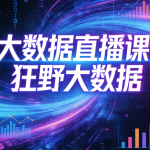 大数据直播课-狂野大数据