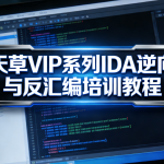 天草VIP系列IDA逆向与反汇编培训教程