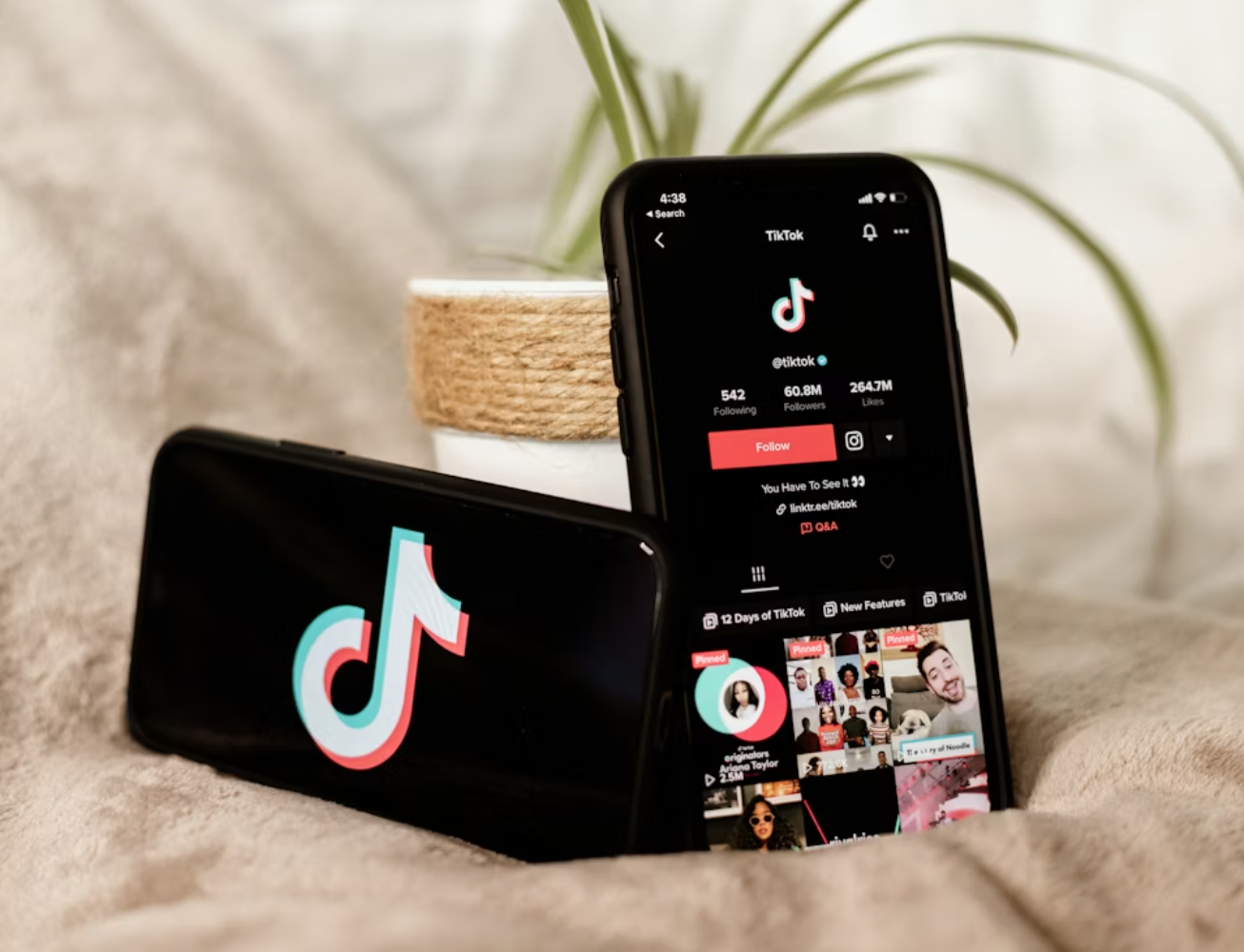 蓝海项目挣美刀，最新Tiktok中视频计划教学，从0-1教你学会海外TK中视频