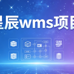 星辰wms项目