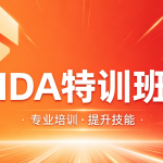 IDA特训班