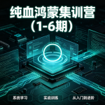 纯血鸿蒙集训营(1-6期)