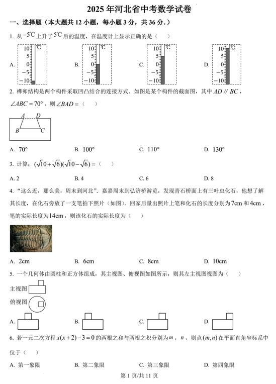 2025年河北省中考真题数学试题