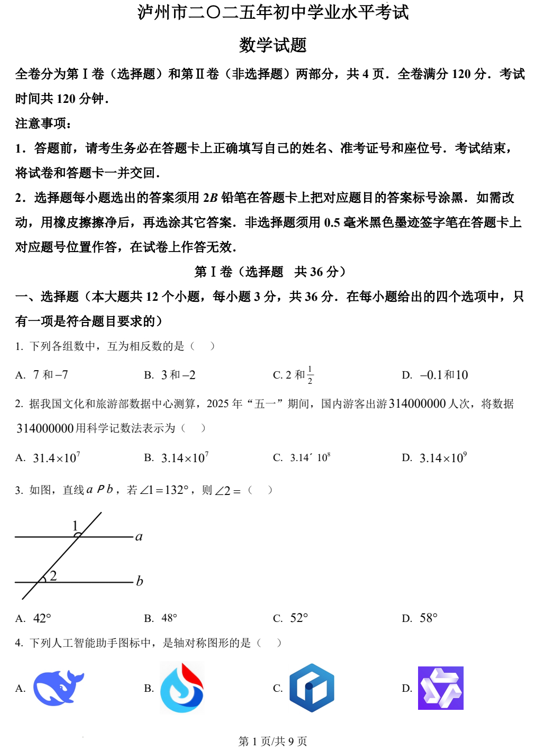 2025年四川省泸州市中考数学试题