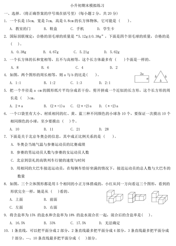 小升初期末模拟练习-2023-2024学年六年级数学下册北京版
