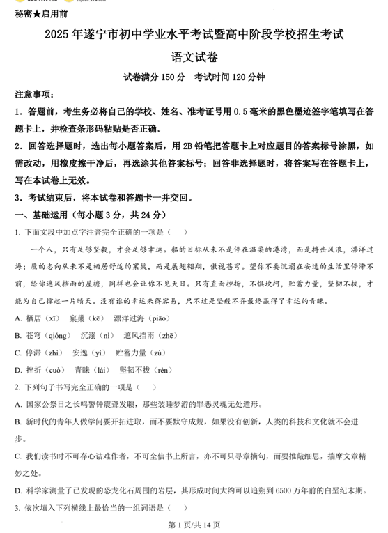 2025年四川省遂宁市中考语文真题