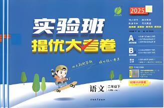 2022秋-2025秋《实验班提优大考卷》电子版下载打印