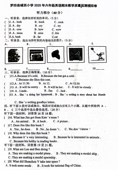 湖北省黄冈市罗田县城西小学2024-2025学年六年级下学期模拟英语试题