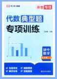 初中数学《荣恒专项典型题专项训练》PDF电子版下载