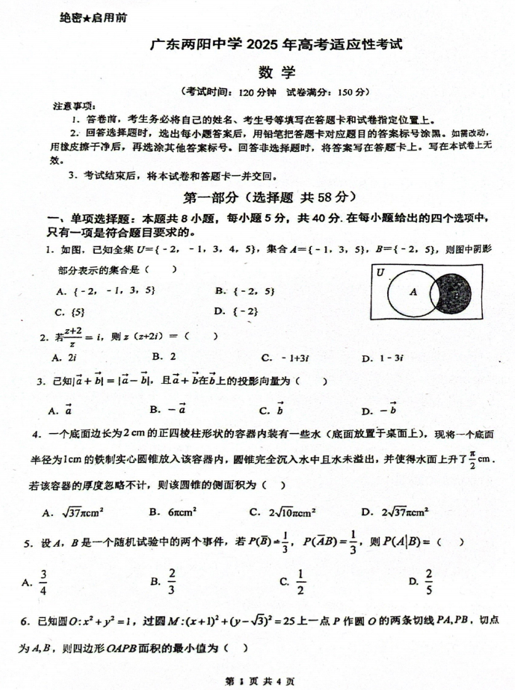 广东省阳江市广东两阳中学2025届高三高考适应性考试数学试题