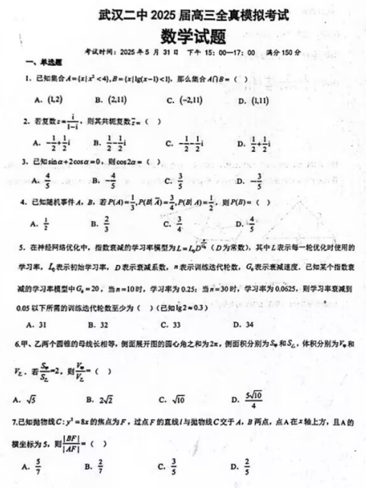 2025届湖北省武汉市第二中学高三全真模拟考试数学试题