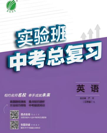 《实验班中考总复习》电子版下载打印