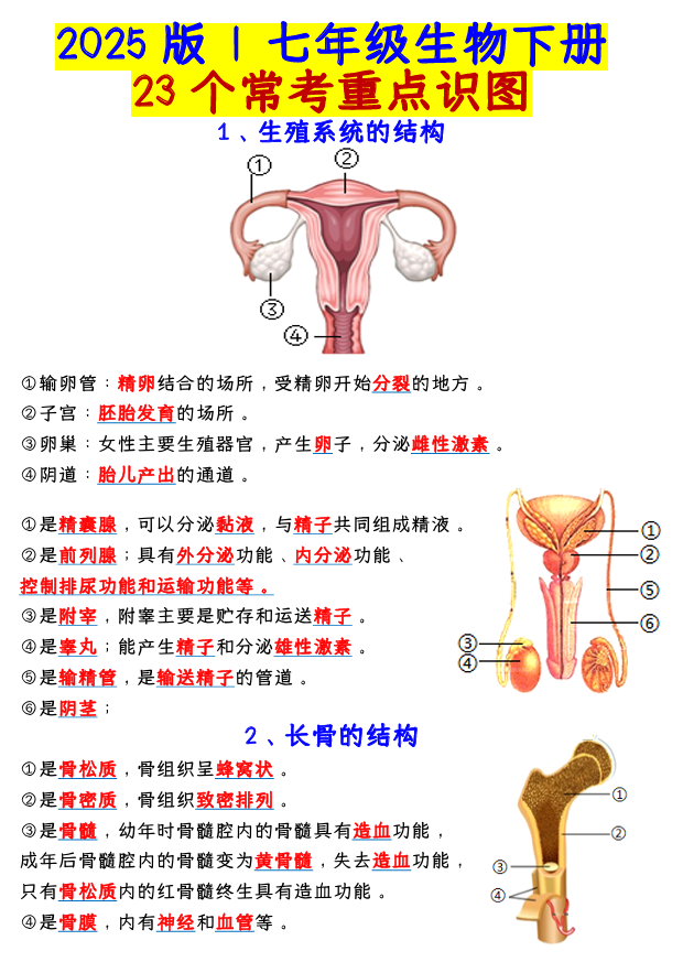 七年级生物下册：23个常考重点识图