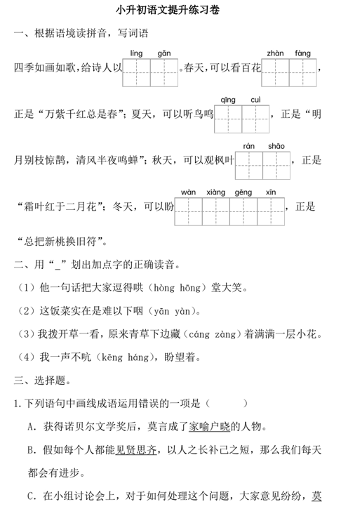 小升初提升练习卷(试题)-2023-2024学年六年级下册语文统编版