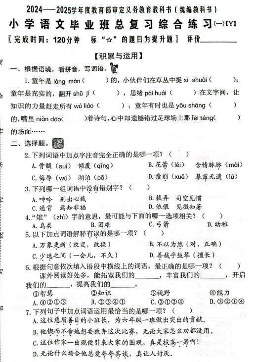 福建省泉州市（Y卷）2024-2025学年六年级下学期期末语文毕业总复习综合练习一