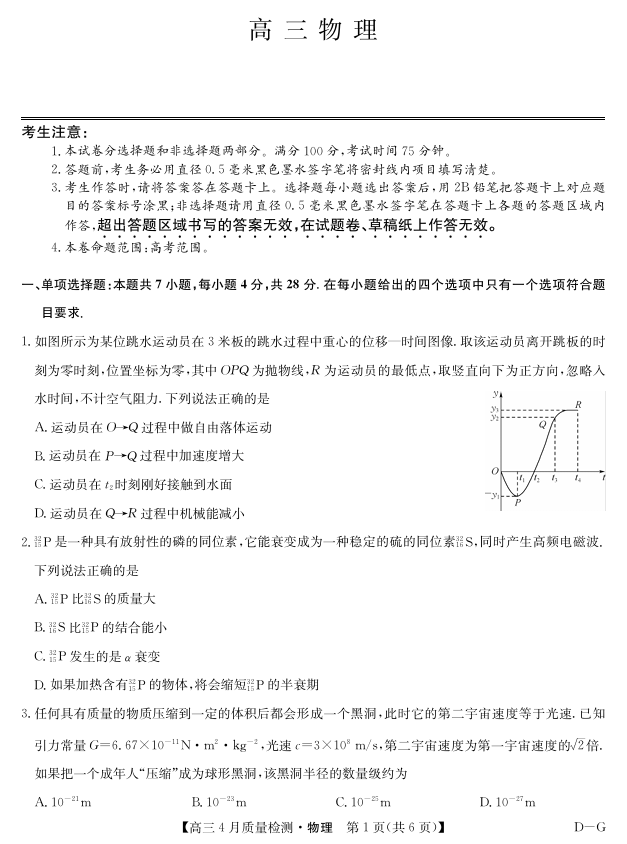 四川省九师联盟2025届高三仿真模拟卷物理（DG）