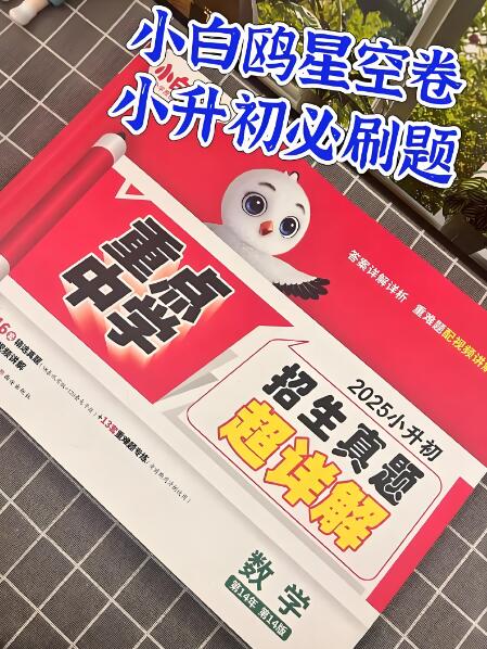 2026版《小白鸥小升初星空卷》 2026版《小白鸥小升初星空卷》