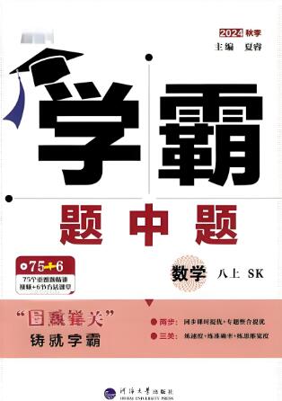 2024秋+2025春《学霸题中题》苏科版+北师版电子版下载 2024秋+2025春《学霸题中题》苏科版+北师版电子版下载