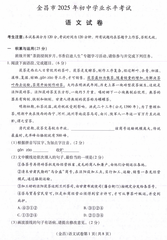 2025年甘肃省金昌市中考语文真题