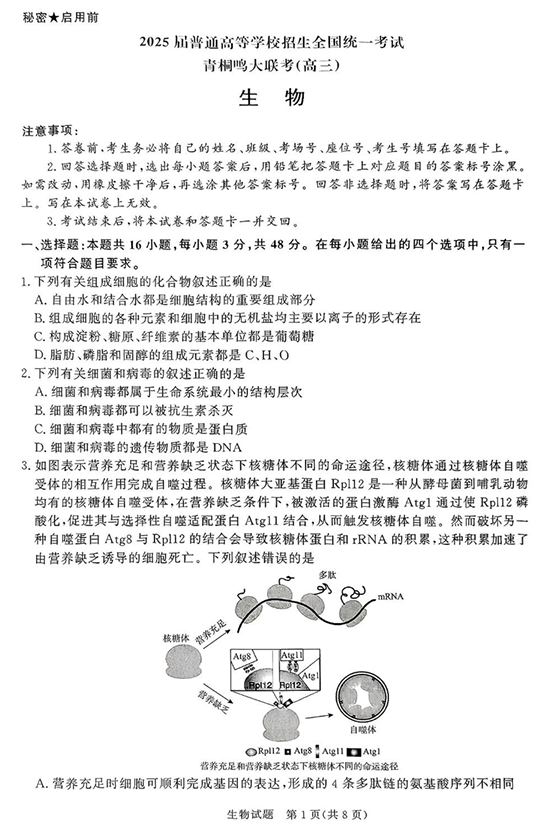 2025届高三下学期5月青桐鸣大联考 生物