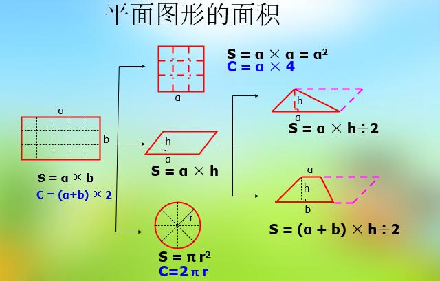 总复习《平面图形的周长和面积》（课件）-2024-2025学年六年级数学西师大版下册