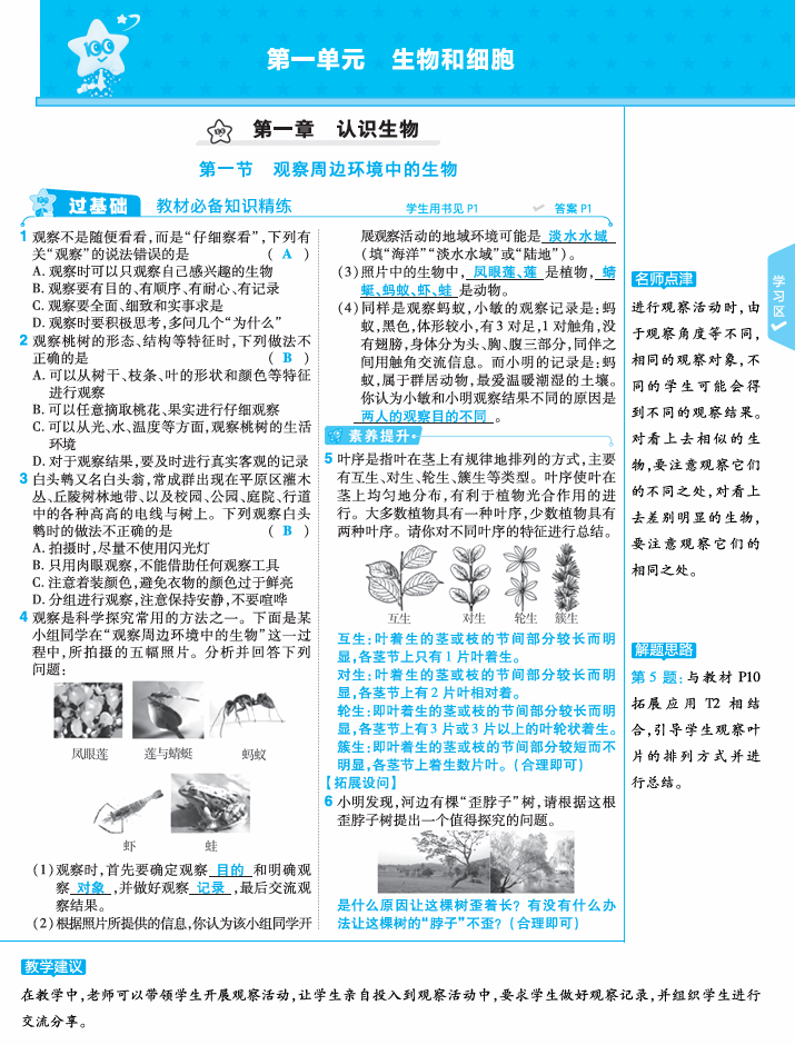 2025七上生物一遍过RJ《一遍过》练习册教案