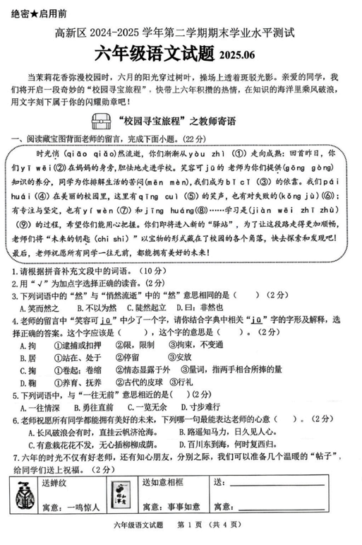 山东省济南市济南高新技术产业开发区2024-2025学年六年级下学期6月期末语文试题