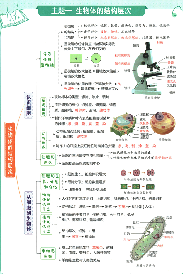 53初中知识清单-生物