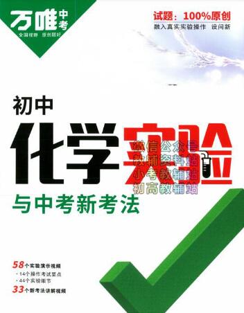 2024版《万唯初中化学实验与中考新考法》PDF电子版下载