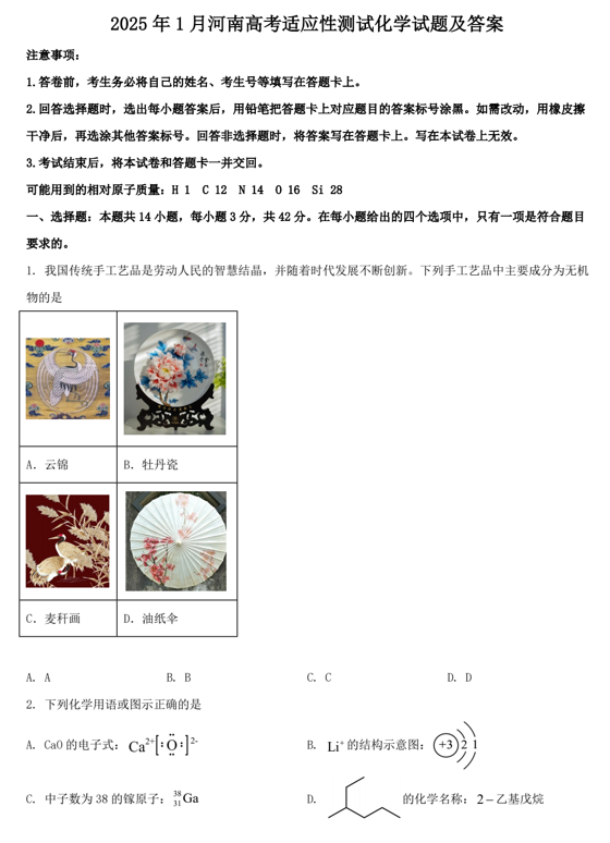 2025年1月河南高考适应性测试化学试题及答案