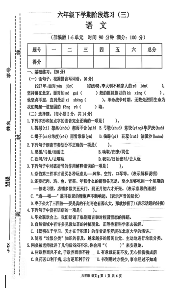 陕西省宝鸡市千阳县城关镇段家湾小学2024-2025学年六年级下学期5月模拟预测语文试题